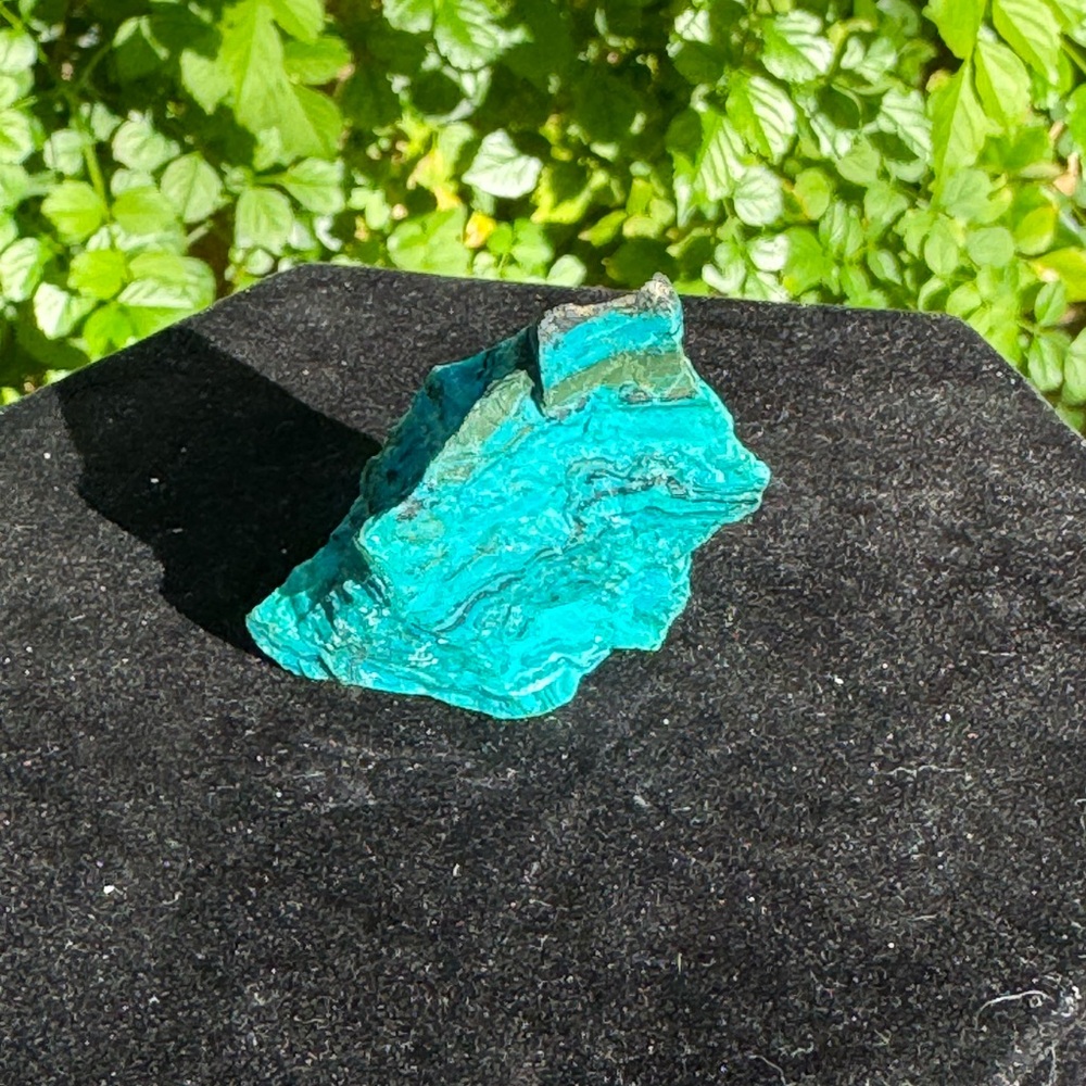 Chilean Blue Opal 1oz - Picture 5 of 5